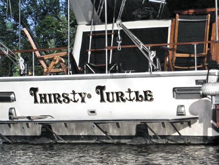 Thirsty Turtle
